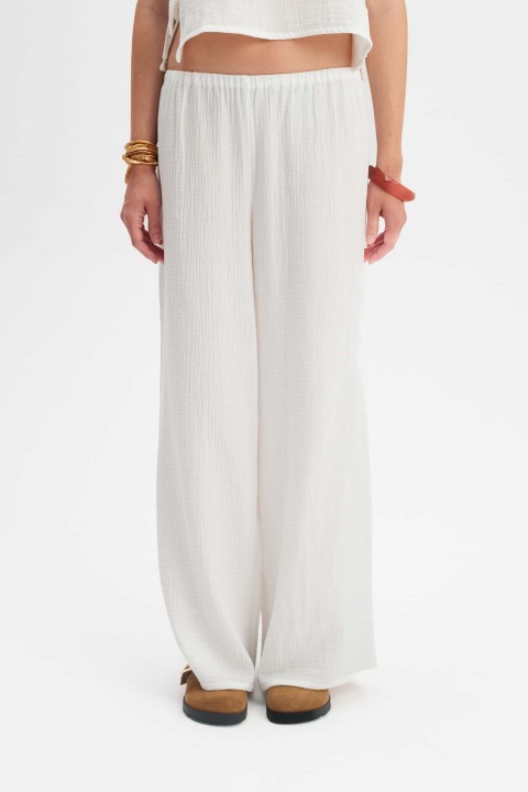 New in | NAREE